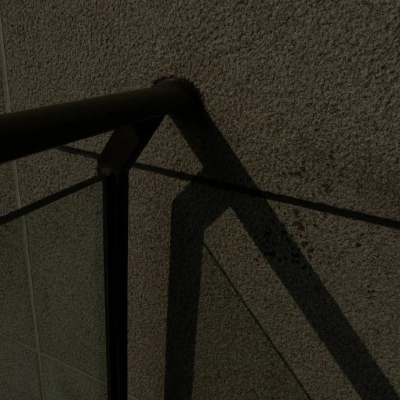 金东福瑞交流群